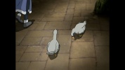709s behind